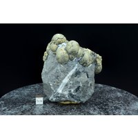 Markasit-Kugeln Auf Matrix - Hohenems, Österreich. 90 X 80 49 Mm von BavariGemArt