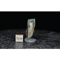 Seltene Rarität , 2 Intensiv Grüne Smaragde Auf Biotitschiefer Smaragdstufe Habachtal Österreich At 29, 0 X 20, 4 9, 3 Mm von BavariGemArt