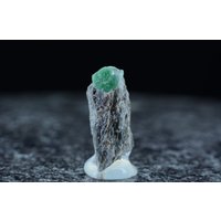 Seltene Rarität , Grüner Smaragd Auf Biotitschiefermatrix Smaragdstufe Habachtal Österreich At 16 X 7.7 6.4 Mm von BavariGemArt