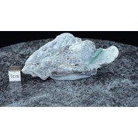 Seltene Rarität , Tannengrüner Smaragd Auf Biotitschiefermatrix Smaragdstufe Habachtal Österreich Austria 83, 8 X 37, 3 12 Mm von BavariGemArt