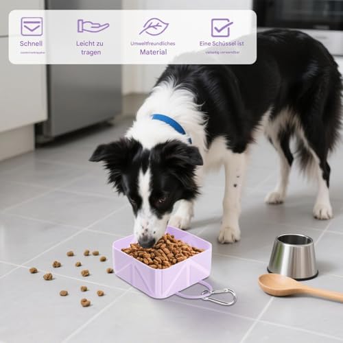 Bavokon Hundefutternapf Tragbar | Faltbarer Outdoor-Katzennapf | 500ml Hundenapf Trinkflasche für Welpe Katze Reisen Wandern Boot Outdoor Aktivitäten Bavokon Hundefutternapf Tragbar | Faltbarer Outdoor-Katzennapf | 500ml Hundenapf Trinkflasche für Welpe Katze Reisen Wandern Boot Outdoor Aktivitäten von Bavokon