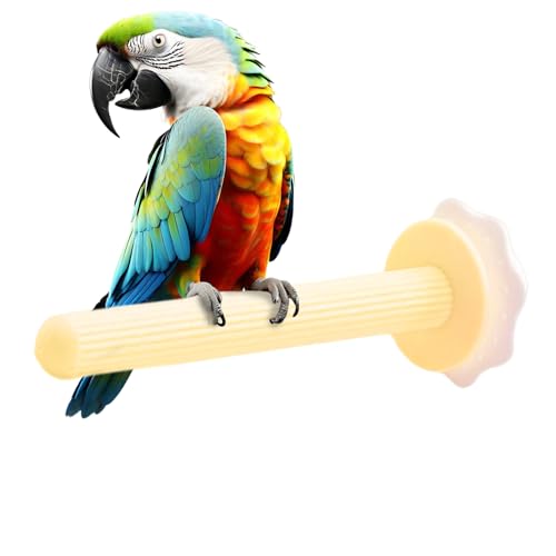 Bavokon Vogelheim Heizung - Nymphensittich Sitzstange - USB Beheizte Vogel Sitzstange - Für Kleine Und Mittelgroße Vögel Im Winter Bavokon Vogelheim Heizung - Nymphensittich Sitzstange - USB Beheizte Vogel Sitzstange - Für Kleine Und Mittelgroße Vögel Im Winter von Bavokon