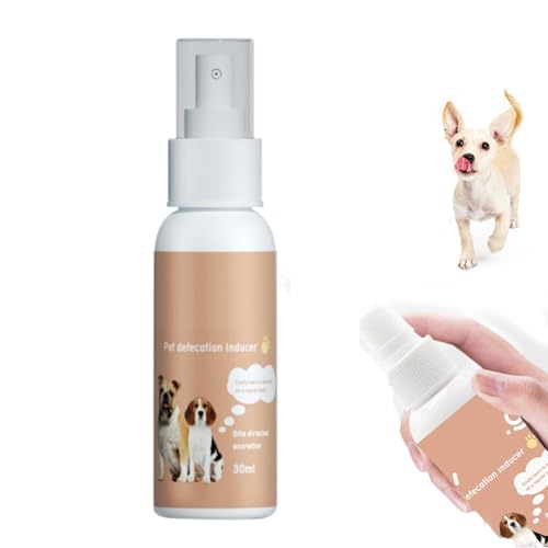 Töpfchen-Trainingsspray für Hunde,30ML Potty Here-Trainingshilfe-Spray,Haustier-Töpfchentrainingsspray,Töpfchen-Hier-Trainingsspray ist Perfekt für Vielbeschäftigte Haustiereltern Drinnen Und Draußen von Bavooty