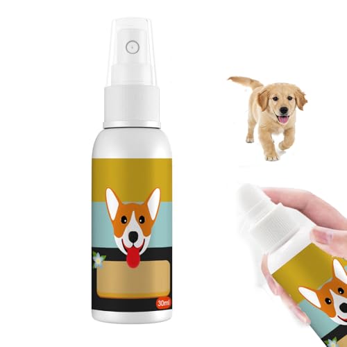 Töpfchen-Trainingsspray für Hunde,Tragbares Welpenhilfe-Trainingsspray,Haustier-Töpfchentrainingsspray,Töpfchen-Hier-Trainingsspray ist Perfekt für Vielbeschäftigte Haustiereltern Drinnen Und Draußen von Bavooty