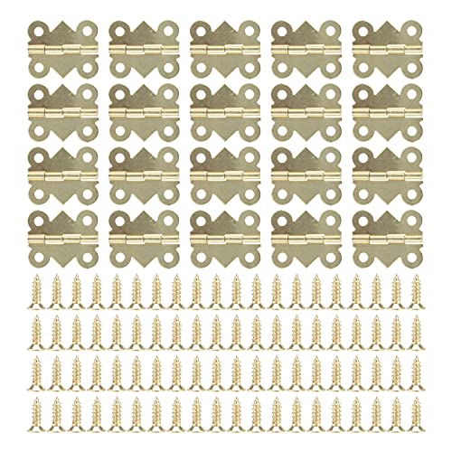 Baxnore 20 Set Eisenscharnier Kit Schraube Montagetür Scharnier 25x20mm für Holzkasten Schmuckschachtel Geschenkbox Weinkiste DIY Möbel Hardware Gelb gelb Baxnore 20 Set Eisenscharnier Kit Schraube Montagetür Scharnier 25x20mm für Holzkasten Schmuckschachtel Geschenkbox Weinkiste DIY Möbel Hardware Gelb gelb von Baxnore