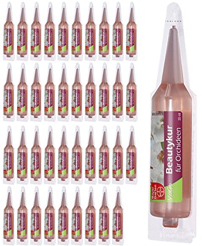 40 x 20 ml (800ml) Bayer Beautykur für Orchideen Spezialdünger Orchideendünger von Bayer Garten