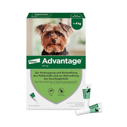 Elanco Advantage Spot-On 40 für sehr kleine Hunde bis 4 kg Körpergewicht, schnelle Bekämpfung von Flöhen und Schutz vor Flohbefall für bis zu 4 Wochen, 4 Pipetten mit 0,4 ml Lösung von Advantage