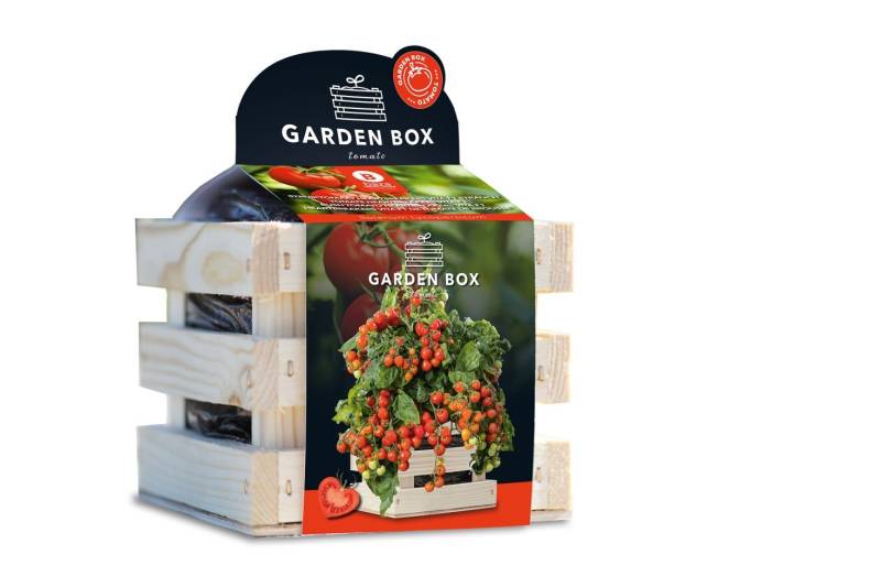 Baza Seeds Garden Box Strauchtomate Heartbreakers Vita F1 von Baza Seeds