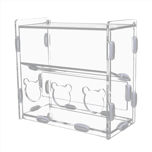 Futterbox für Wachteln, automatischer Lebensmittelbehälter aus Acryl, schmutzabweisend, mit Mehreren Löchern, Futterbox für Vögel, automatischer Futterautomat für Codorni von Bbbabeslk