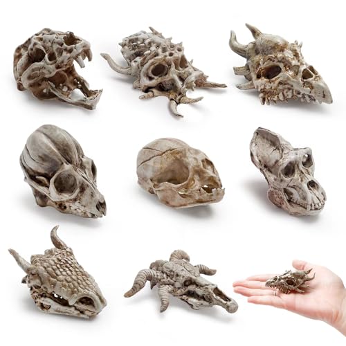 Bbiamsleep Realistische Tierschädel Figur Harz Mini Dinosaurier Alien Monster Schädel Simulierte Monster Skelett Kopf Tier Schädel Dekor Ornament für DIY Projekte Halloween Weihnachten Dekoration 8 Bbiamsleep Realistische Tierschädel Figur Harz Mini Dinosaurier Alien Monster Schädel Simulierte Monster Skelett Kopf Tier Schädel Dekor Ornament für DIY Projekte Halloween Weihnachten Dekoration 8 von Bbiamsleep