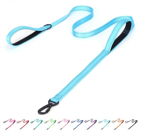 Bbmmayy Reflektierende Nylon-Hundeleine – die robuste Helden-Leine mit zwei Griffen für Nacht-Sicherheitstraining – für kleine, mittelgroße und große Hunderassen (Hellblau, 1,8 m x 2,5 cm) von Bbmmayy
