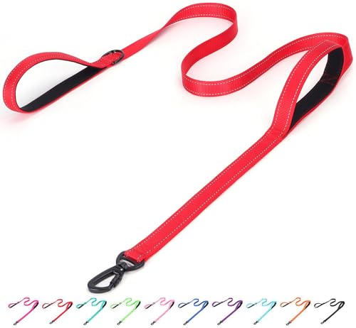 Bbmmayy Reflektierende Nylon-Hundeleine – die robuste Helden-Leine mit zwei Griffen für Nacht-Sicherheitstraining – für kleine, mittelgroße und große Rassen, Rot, 1,5 m x 2,5 cm von Bbmmayy