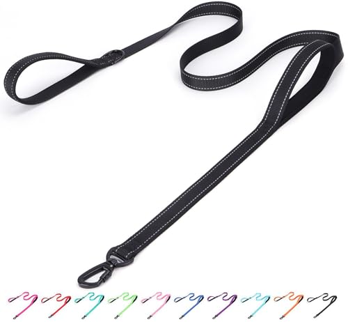 Bbmmayy Reflektierende Nylon-Hundeleine – die robuste Helden-Leine mit zwei Griffen für Nacht-Sicherheitstraining – für kleine, mittelgroße und große Rassen, Schwarz, 1,8 m x 2,5 cm Bbmmayy Reflektierende Nylon-Hundeleine – die robuste Helden-Leine mit zwei Griffen für Nacht-Sicherheitstraining – für kleine, mittelgroße und große Rassen, Schwarz, 1,8 m x 2,5 cm von Bbmmayy