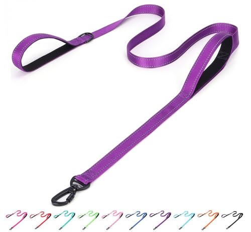 Bbmmayy Reflektierende Nylon-Hundeleine – die robuste Helden-Leine mit zwei Griffen für Nacht-Sicherheitstraining – für kleine, mittelgroße und große Rassen, Violett, 1,8 m x 2,5 cm Bbmmayy Reflektierende Nylon-Hundeleine – die robuste Helden-Leine mit zwei Griffen für Nacht-Sicherheitstraining – für kleine, mittelgroße und große Rassen, Violett, 1,8 m x 2,5 cm von Bbmmayy