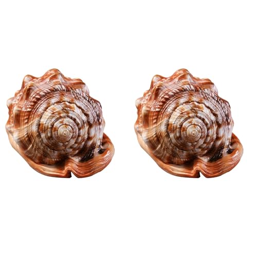 Bcowtte 2 x Natürliche Stiermuschel Muschel Coral Sea Schnecke Fischtank Ornament Ornament von Bcowtte