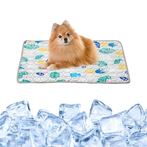 Kühlmatte Hund Katze - 70x55 cm - Kühlmatte für Hunde Katzen, Kühldecke Hund Katze, Selbstkühlende Hundematte, Selbstkühlende Matte für Haustiere, Sommer Kühlkissen für Drinnen, Draußen und Auto, B, L von Bcuuozeeing