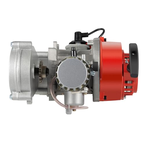 2 Takt Motor, 49cc fahrradmotor, Benzin Motor Fahrrad Mini Dirt ATV Go Kart für Pocket Bike,1.9kw 48km/h Pull Start,Plug-and-Play, Silber von Bdneygtyr