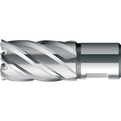 Kernbohrer kurz KBK HSS Weldon Schaft ø38 x 30mm von Bds