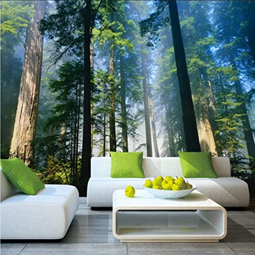 5D Wandbilder Wälder Tapete Natur Nebel Bäume 3D Wand Fototapete Waldtapete für Hintergrund Schlafzimmer TV 3D Wandbilder von Bdwtsvoksrk