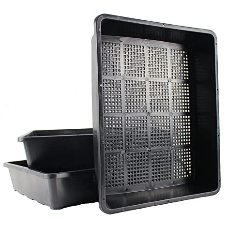 BeGrit 3 Stück Keimschalen für Sprossen Atmungsaktive Seed Starter Tray Dauerhaft Plastik Keimung Tablett (37.5 x 30 x 7.5cm) für Anzucht von Mungbohnen Alfalfa Weizengras von BeGrit