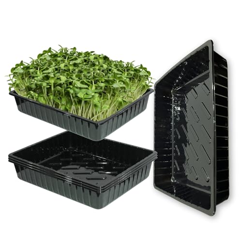 BeGrit Pflanzwanne 5 Stücke Pflanzschalen Anzuchtplatte Pflanzschale 39cm x 29cm x 6,5cm Anzuchtschalen Ohne Löcher Stabile Flache Schalen für Pflanzen, Anzuchten, Garten, Hydroponic BeGrit Pflanzwanne 5 Stücke Pflanzschalen Anzuchtplatte Pflanzschale 39cm x 29cm x 6,5cm Anzuchtschalen Ohne Löcher Stabile Flache Schalen für Pflanzen, Anzuchten, Garten, Hydroponic von BeGrit