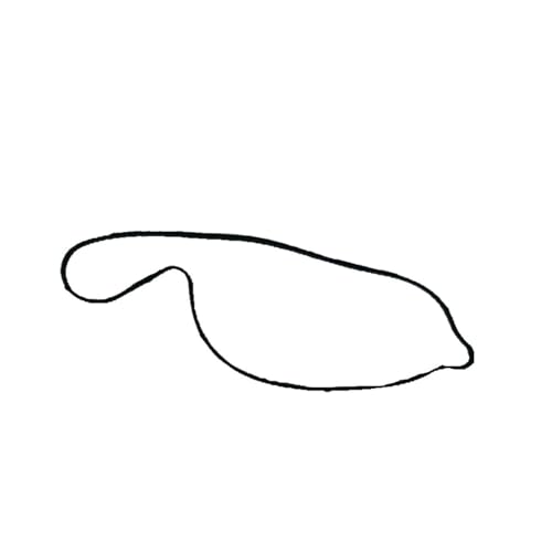 BeJdtvEo Motorrad-Wasserpumpendichtung 0800-080004 Passend for CF800-2 X8 CF800-3 U8 UF800EX 800 CF800US-A Z8 800 CF800 BeJdtvEo Motorrad-Wasserpumpendichtung 0800-080004 Passend for CF800-2 X8 CF800-3 U8 UF800EX 800 CF800US-A Z8 800 CF800 von BeJdtvEo