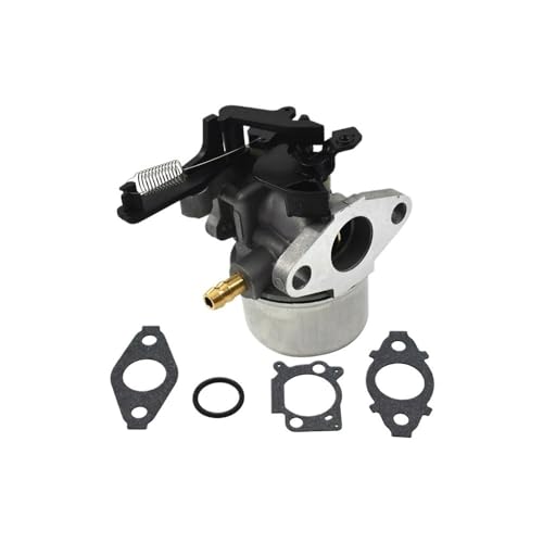 Vergaser kompatibel mit 3200PSI 875 BS216852 Vergaser kompatibel mit 3200PSI 875 BS216852 von BeJdtvEo