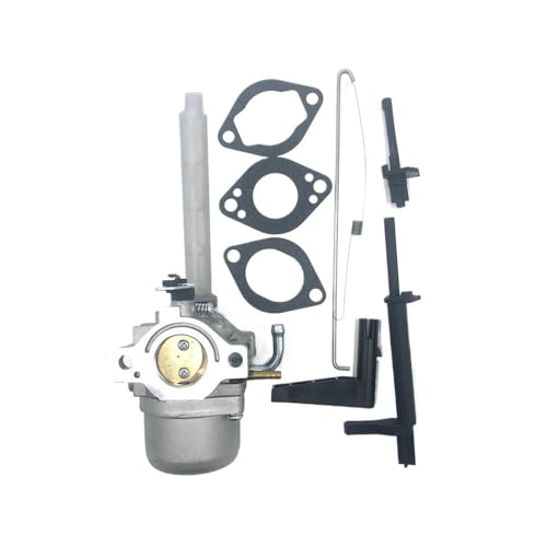 Vergaser kompatibel mit 796122 793161 696737 794593 20A113 20A114 von BeJdtvEo