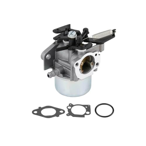 Vergaser kompatibel mit Rasenmäher BS799608 775EX Vergaser kompatibel mit Rasenmäher BS799608 775EX von BeJdtvEo