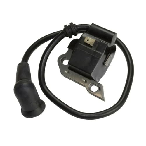 Zündspule kompatibel mit Rucksackgebläse RY08420 RY08420A 291424001 von BeJdtvEo