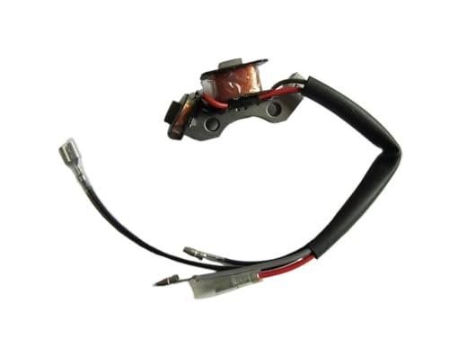 Zündung Einheit Box Kompatibel Mit ET950 ET650 EF1000AX Generator(Magneto Stator) von BeJdtvEo