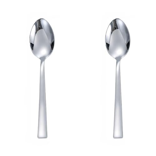 BeNtLi Löffel Aus Edelstahl 304, 2er-Pack, Rührlöffel Mit Langem Griff, Polierter Edelstahl, Latte-Macchiato-Löffel, 20 cm (8 Zoll) (2 Pack) von BeNtLi
