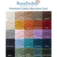 Luftpflanzenhalter, Makramee-Luftpflanzenhalter, Einzigartige Luftpflanzenanzeige, Makramee-Wandbehang, Boho-Dekor, Luftpflanzenterrarium, Geschenk von BeanDaikon