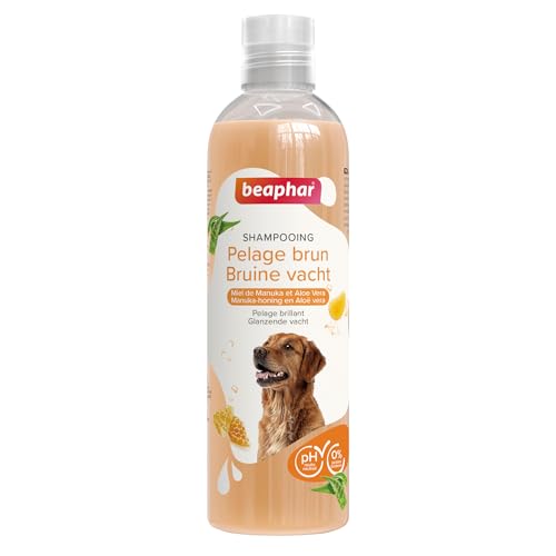 BEAPHAR - Essential Brown Peeling Hunde Shampoo - Extra fein - Glänzendes Fell - Enthält Manuka Honig und Aloe Vera - Parabene und Silikon - pH neutral - 250 ML BEAPHAR - Essential Brown Peeling Hunde Shampoo - Extra fein - Glänzendes Fell - Enthält Manuka Honig und Aloe Vera - Parabene und Silikon - pH neutral - 250 ML von Beaphar