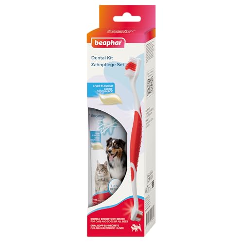 BEAPHAR - Zahnpflege Set Für Hunde Und Katzen - Doppelkopfzahnbürste Und Zahnpasta - Bekämpft Plaque Und Zahnstein - Mit Leber-Geschmack - Ohne Fluoride - Set mit 1 Zahnbürste + 100 g Zahnpasta von beaphar