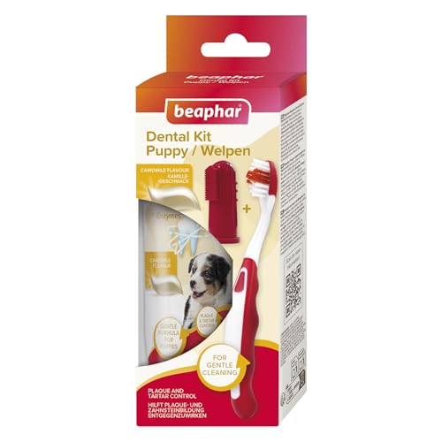 BEAPHAR - Zahnpflege Set Für Welpen - Mit Leber-Geschmack - Zahnbürste, Fingerzahnbürste Und Zahnpasta - Set mit 2 Zahnbürsten + 50 g Zahnpasta von beaphar