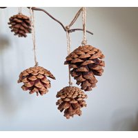 Kiefernzapfenahänger Mit Haken Und Jute Band Als Natürlicher Weihnachtsschmuck Auch Zur Adventsdekoration Adventskalender Geeignet Natur von BeasKleinigkeiten