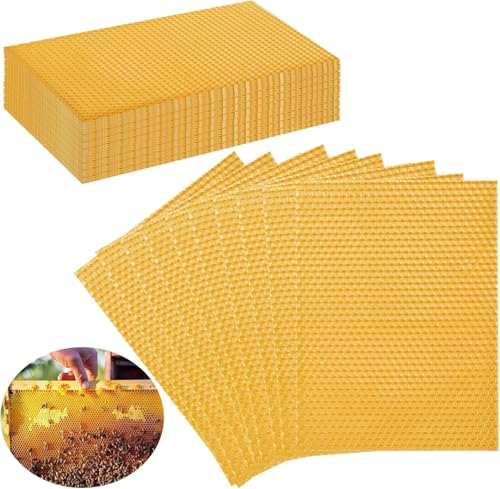 Beatific 30 Stück Bienenwachs Kerzen, 13 x 9 cm Bienenwachskerzen für die Kerzenherstellung für DIY-Kerzenherstellungs-Sets, Natürliche Wachs-Blätter, Imker Bienenwachsform Werkzeuge Beatific 30 Stück Bienenwachs Kerzen, 13 x 9 cm Bienenwachskerzen für die Kerzenherstellung für DIY-Kerzenherstellungs-Sets, Natürliche Wachs-Blätter, Imker Bienenwachsform Werkzeuge von Beatific