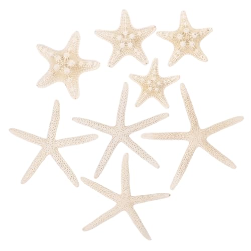 Beatifufu 8 Stück Natürliche Seestern Deko für Vase Füller und Aquarium Strandthemenorientierte Meeresornamente Langlebige Einzigartige Mikro-landschaftsdekoration von Beatifufu