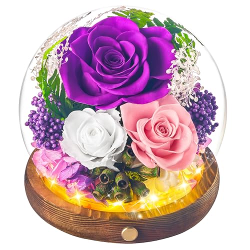 Beaulasting Roses Blumenkugel mit konservierten Blumen, ewige Rose im Glas, langanhaltende echte Blumen, Blumengeschenk für Mama, Oma, Ehefrau, Schwester, Freund, Geburtstag, Muttertag, Lila Beaulasting Roses Blumenkugel mit konservierten Blumen, ewige Rose im Glas, langanhaltende echte Blumen, Blumengeschenk für Mama, Oma, Ehefrau, Schwester, Freund, Geburtstag, Muttertag, Lila von Beaulasting Roses