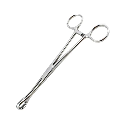 Geschlossene Runde Selbstsichernde Schwammpinzette Piercing Werkzeug für Lippen und Intimpiercing Silber von Beaupretty