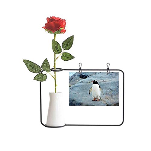 Beauty Gift Antarctic Stone Ozean-Pinguin Naturwissenschaft künstliche Rose Blume hängende Vasen Dekoration Flasche von Beauty Gift