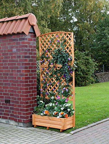 Beauty.Scouts Rankkasten Pflanzenkasten Jolie II Kasten honigbraun wetterfest 91x41x205cm Blumenkasten Pflanzkasten Blumenrankkasten Pflanzenrankkasten braun von Beauty.Scouts