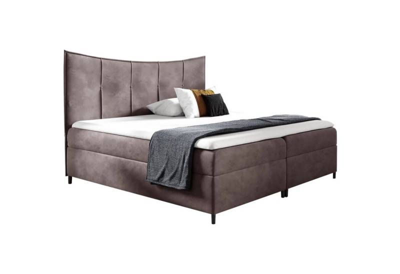Beautysofa Boxspringbett BERGO Die Lieferung beinhaltet die Lieferung in die Wohnung (Doppelbett aus Velour), inklusive Federkern und 5 cm Topper-Matratze, mit 2x Bettkästen von Beautysofa