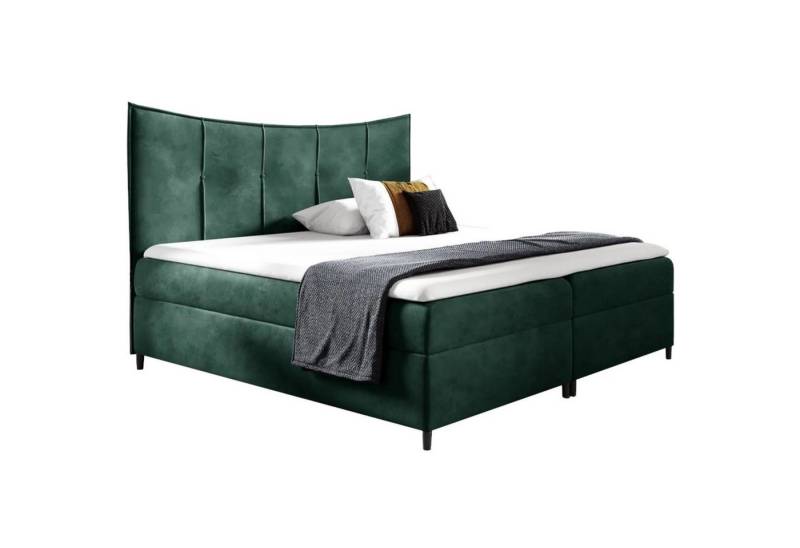 Beautysofa Boxspringbett BERGO Die Lieferung beinhaltet die Lieferung in die Wohnung (Doppelbett aus Velour), inklusive Federkern und 5 cm Topper-Matratze, mit 2x Bettkästen von Beautysofa