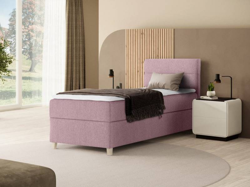 Beautysofa Boxspringbett Velour Bett DONNA MINI mit Matratze, Topper Polsterbett Schlafzimmer Beautysofa Boxspringbett Velour Bett DONNA MINI mit Matratze, Topper Polsterbett Schlafzimmer von Beautysofa