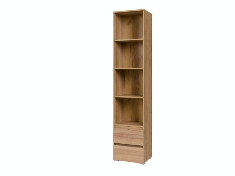 Beautysofa Bücherregal Cosmo schmales Bücherregal mit Schubladen, (B:45 H:204 T:24cm / 2 geräumige Schubladen) von Beautysofa