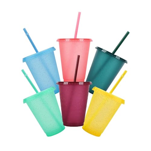 Bebochoi Bunte Plastikbecher Trinkbecher mit Strohhalm und Deckel 500ml Wiederverwendbar Bruchsicher Party Becher Trink Becher Travel Mug Tumbler für Eiskaffee Kaltes Trinken Smoothie Saft 6 Pack von Bebochoi