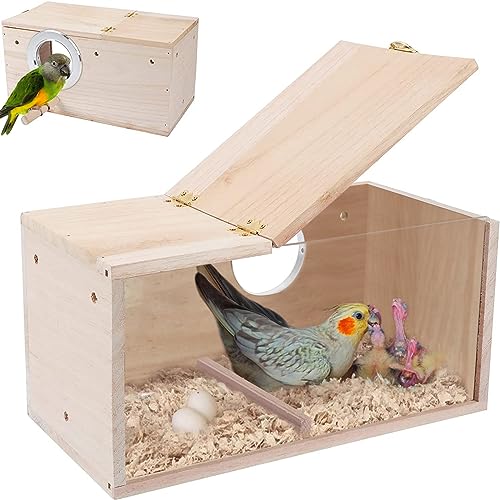 Bebochoi Vogelhaus aus Naturholz für kleine Vögel - Transparente Zuchtbox mit Standfuß für Lovebirds, Finken und mehr, 25 x 13 x 13 cm von Bebochoi