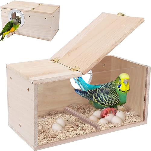 Bebochoi Vogelhaus aus Naturholz für kleine Vögel - Transparente Zuchtbox mit Standfuß für Lovebirds, Finken und mehr, 29,5 x 15 x 15 cm von Bebochoi